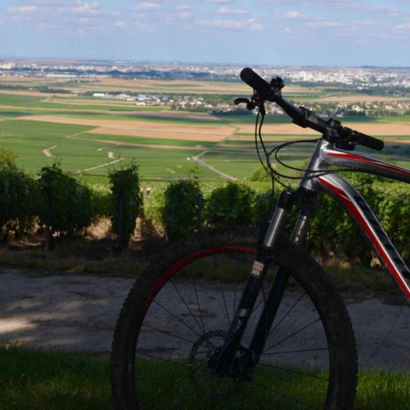 Gite Saint Martin Pargny-les-Reims Eksteriør bilde